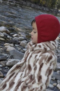 milocheetahcoat