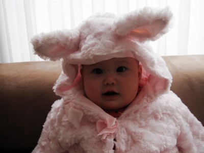 AylaBunny