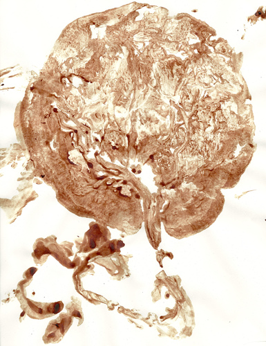 placenta