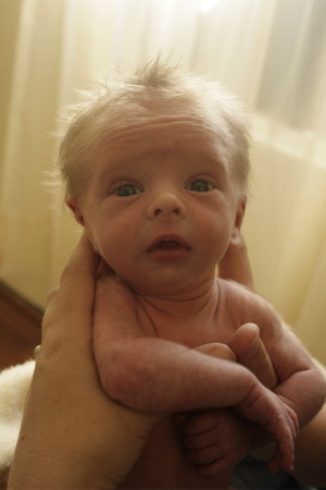 newbornhairsocute