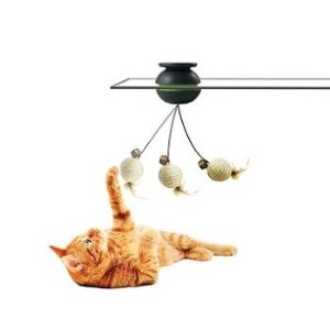 frolicat