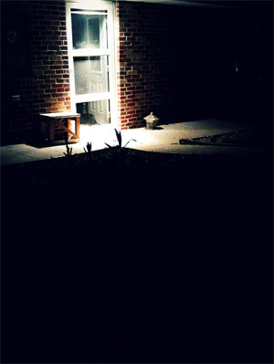 photo - Gardening at night: make the most of your time with a nocturnal workplan photo