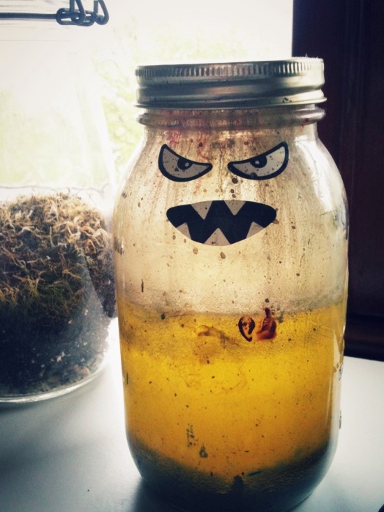 turpentine face