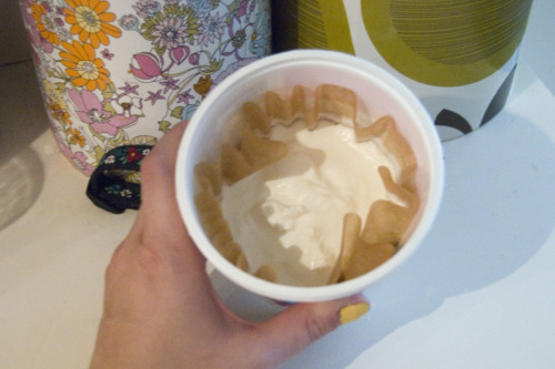 Yogurt Strainer 10