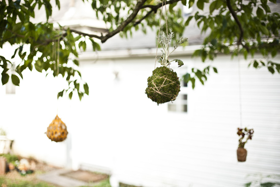hanging plants 3