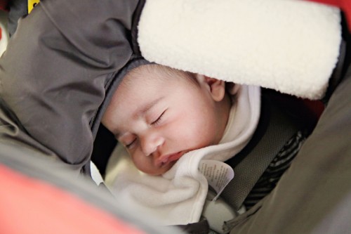 baby8