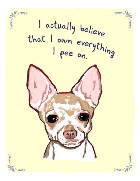 i own what i pee on