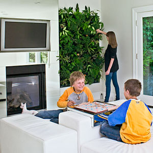 zero waste home 3