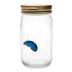e70c electronic butterfly in a jar anim
