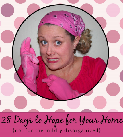 28 days to hope for your home cover