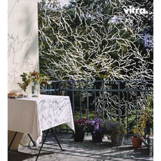 algae screen