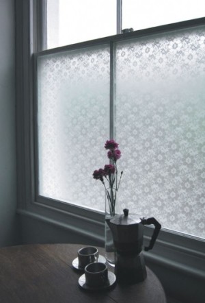 window film e1334727709292