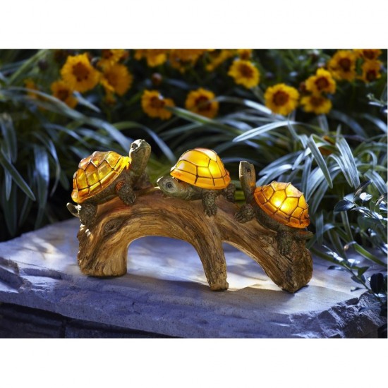 turtle solar light