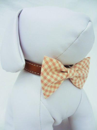 doggy bow tie