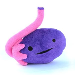ovary