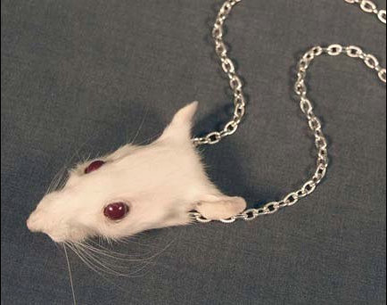 Rat-head necklace.