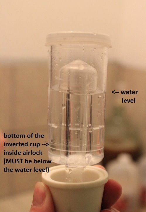 wet airlock