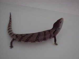 Estefan in the bath.