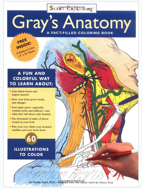 graysanatomy