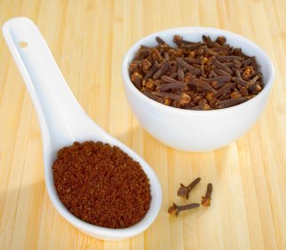 are ground cloves and cinnamon safe for dogs and cats