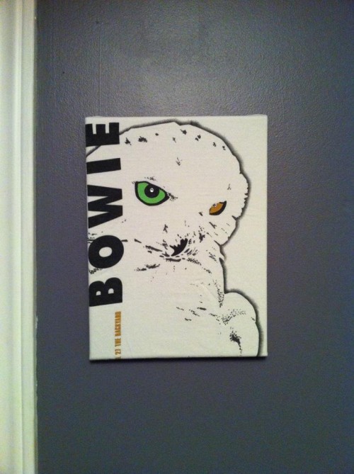 bowie2