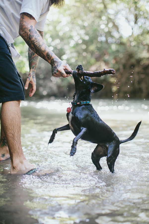 pet maternity photo