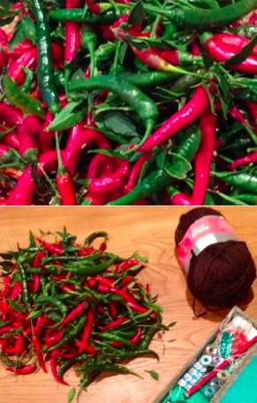 chillies2