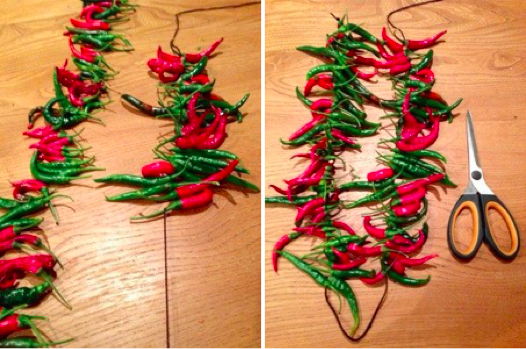 chillies4