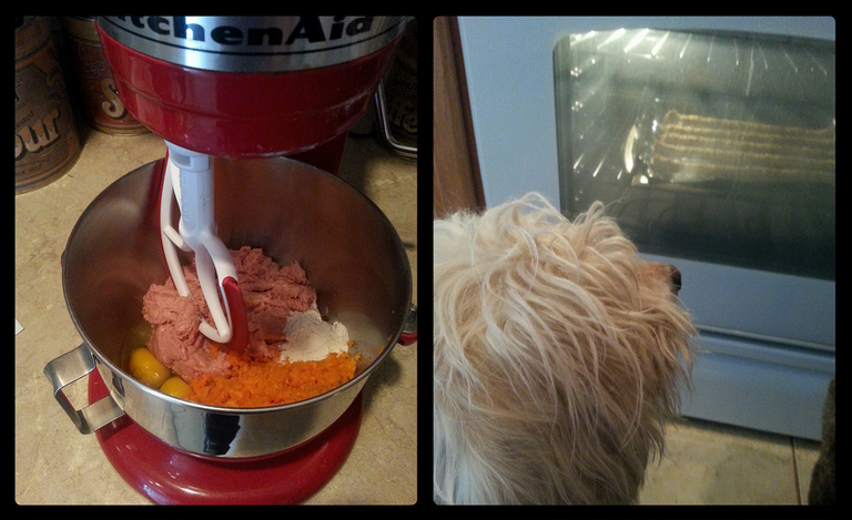 Megan-simple turkey dog treats, for the gluten free pups2