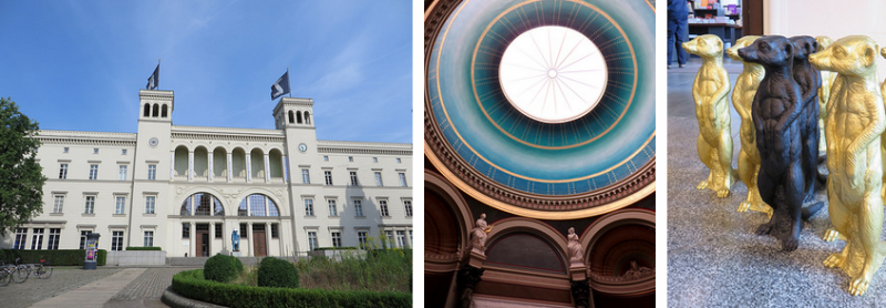 Hamburger Bahnhof, Skylight at Alte Nationalgalerie, and meerkats.