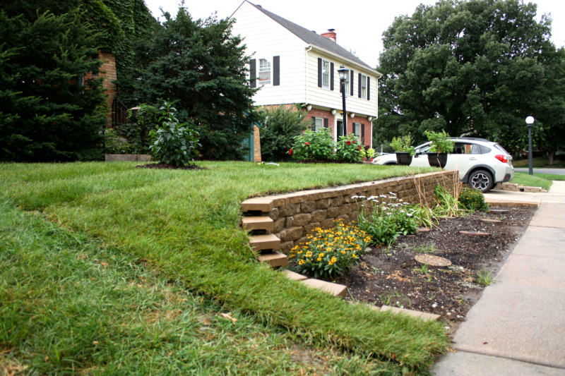 That sod though