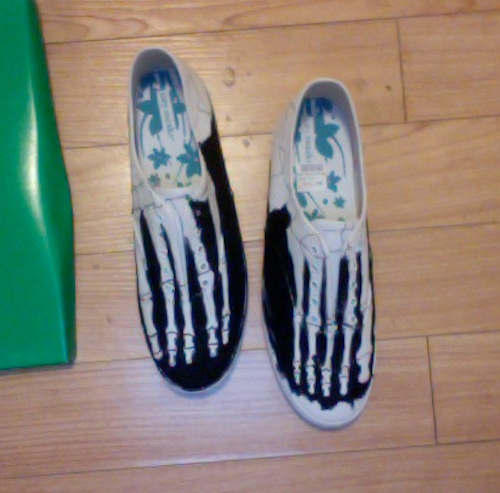 bone shoe painting
