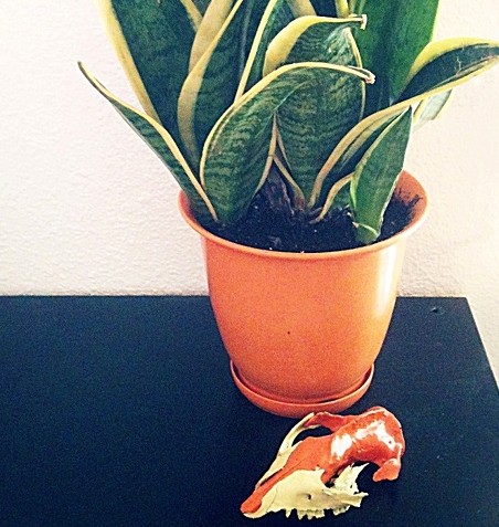 See my raccoon skull? It was in two pieces -- easy to paint yellow and orange.