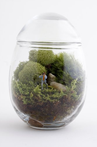 Terrariums with a humorous twist from Twig Terrariums • Offbeat Home & Life