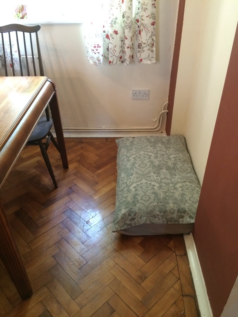 finished dog bed
