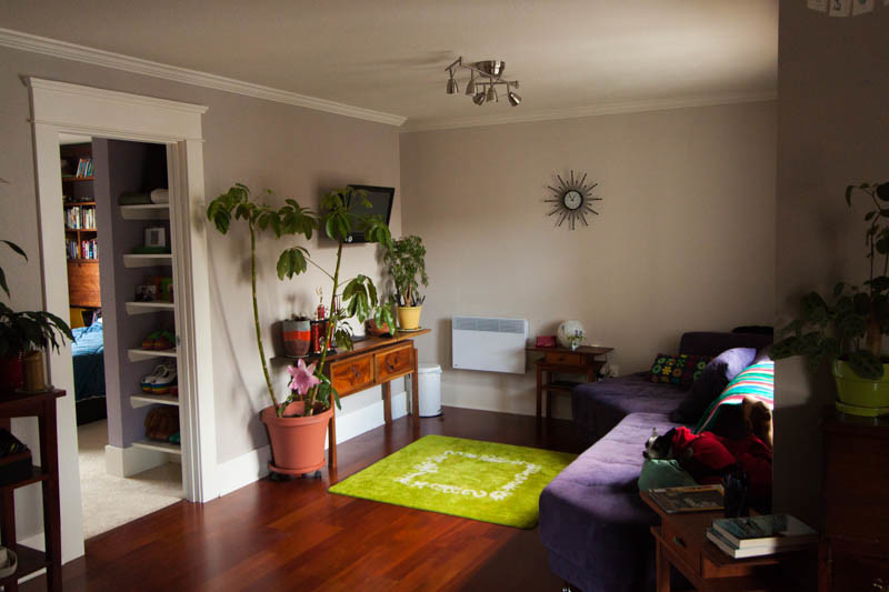 Ariel remodel tour on Offbeat Home (1)