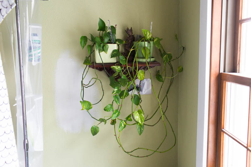 Ariel remodel tour on Offbeat Home (22)