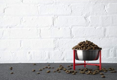 Doca Pet Elevated Dog Bowl