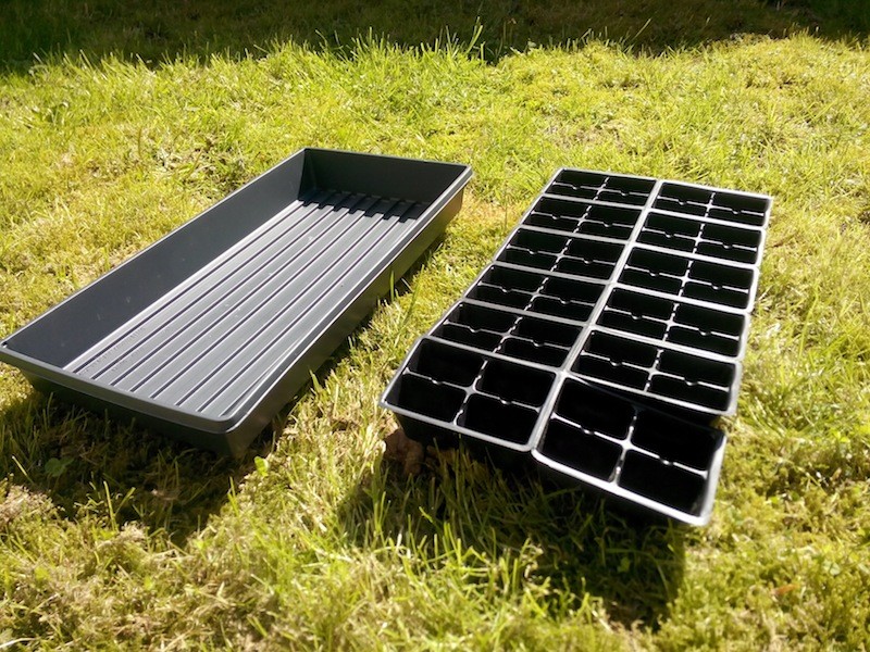 seedling trays
