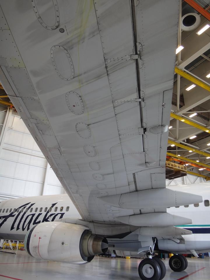 airplane wing - My fear of flying was conquered with some good storytelling airplane wing