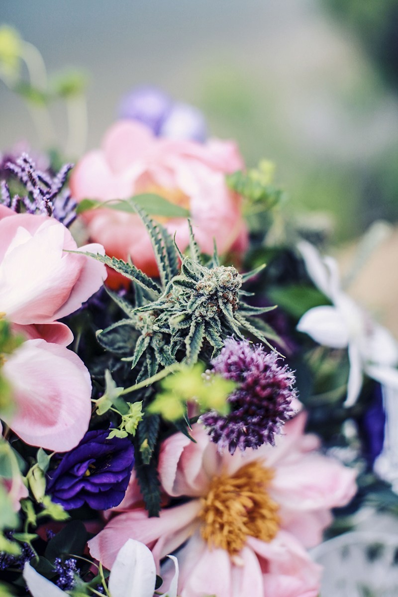 MarianneBrownPhotographyColoradoWedding174