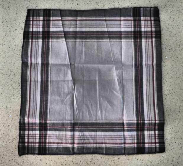 hanky 1
