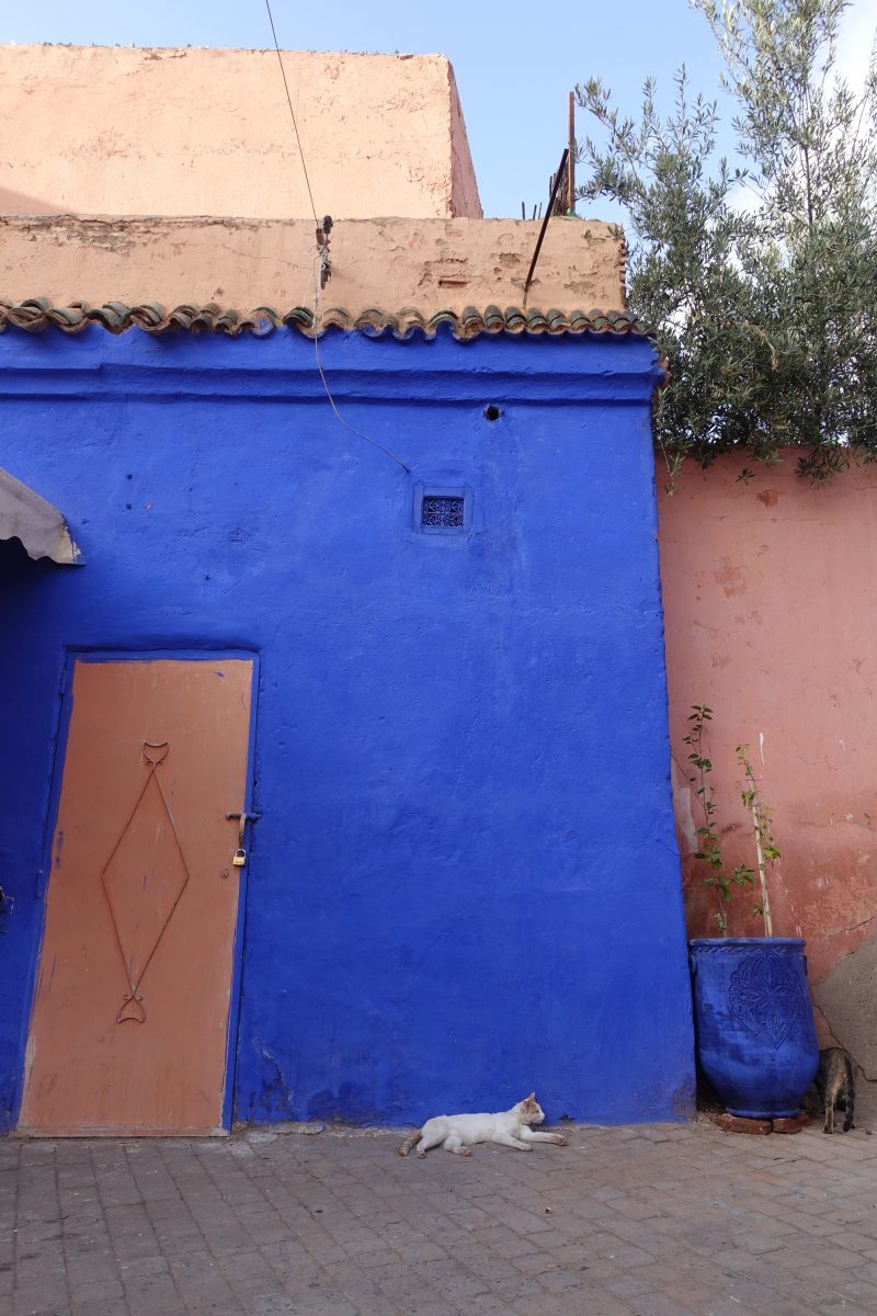blue paint and pink door