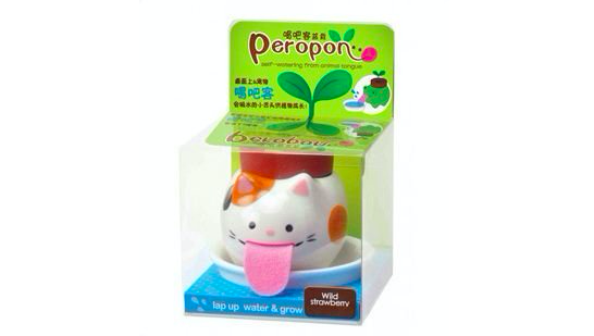 cat planter