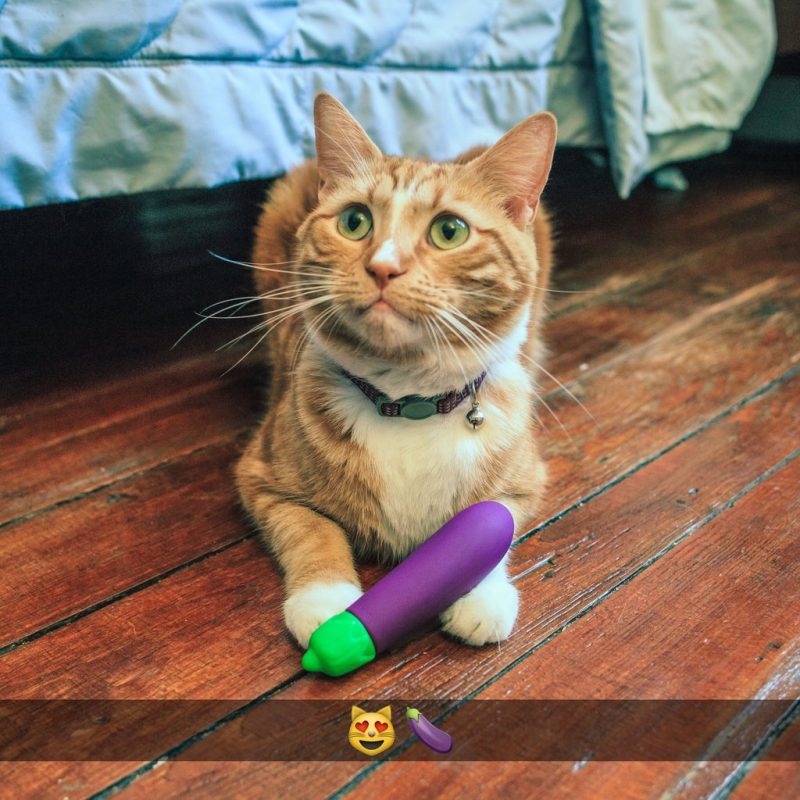 cat-eggplant-emoji_1024x1024