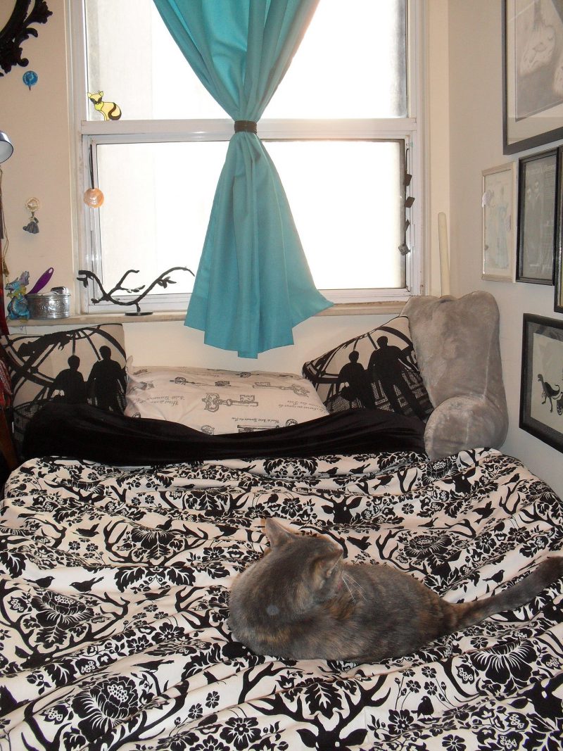 mirandas condo bed