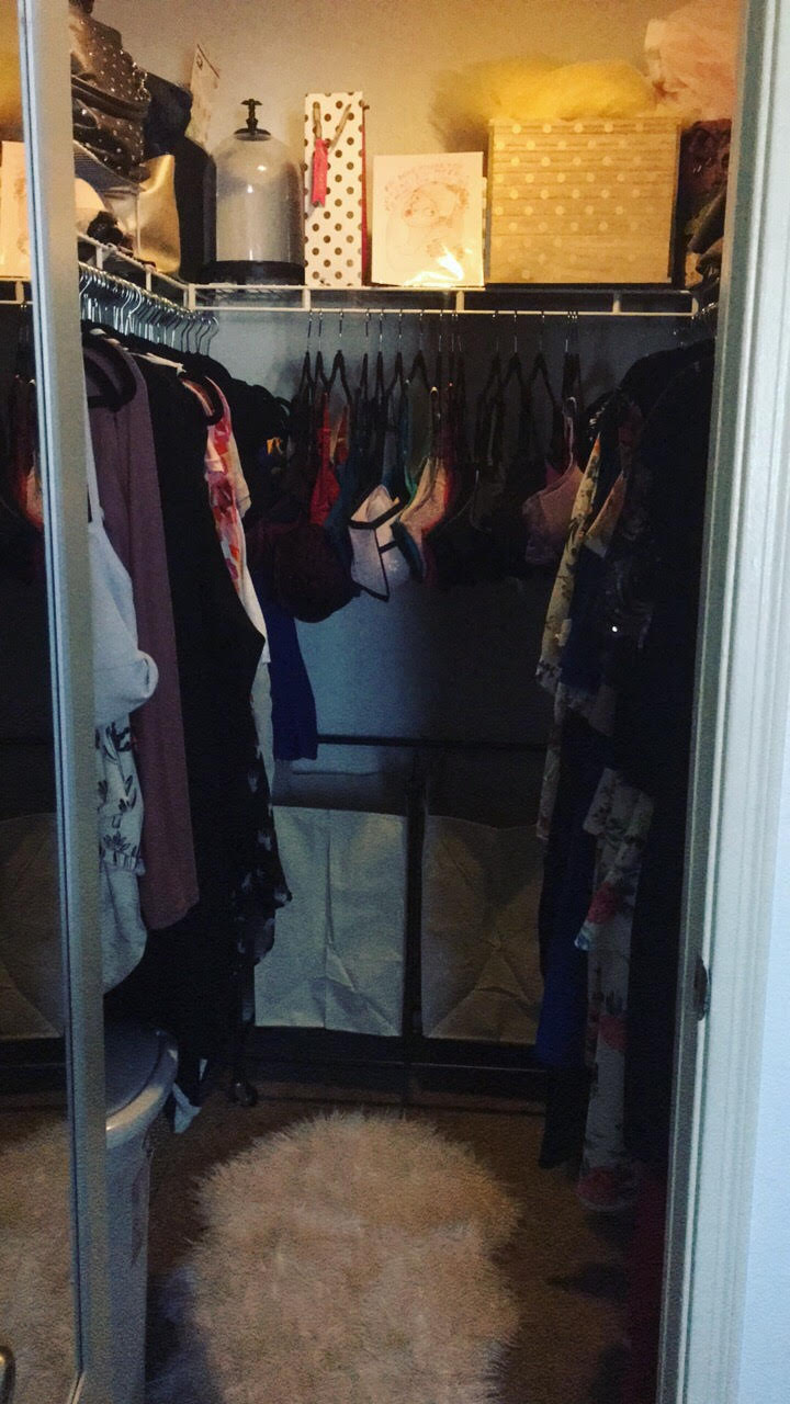 plus size closet organization