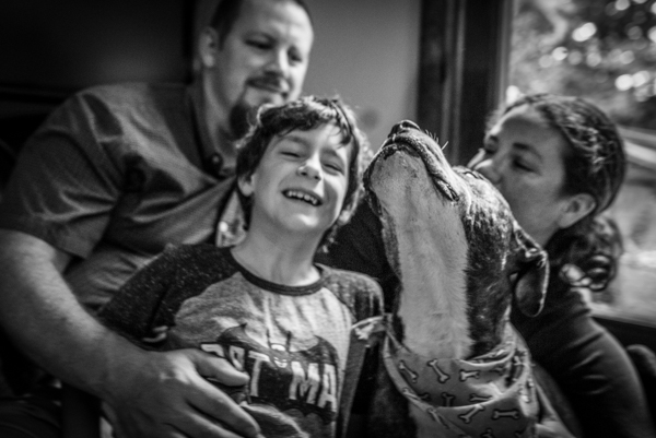 OffbeatPetSubmission 0004 - "Where grief and celebration meet": This end of life pet photo session will break and warm your heart OffbeatPetSubmission 0004