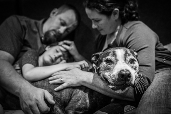 OffbeatPetSubmission 0005 - "Where grief and celebration meet": This end of life pet photo session will break and warm your heart OffbeatPetSubmission 0005