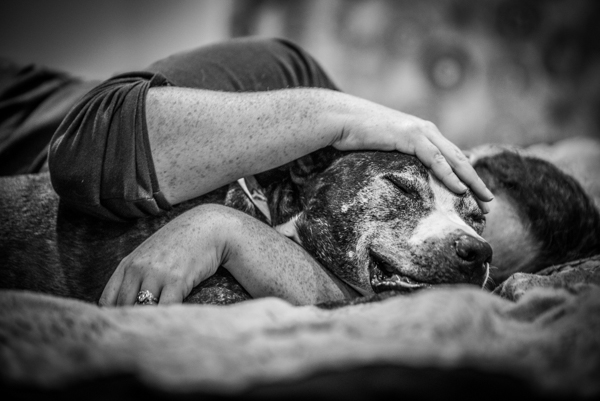 OffbeatPetSubmission 0006 - "Where grief and celebration meet": This end of life pet photo session will break and warm your heart OffbeatPetSubmission 0006